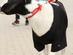 IMG_5089_web